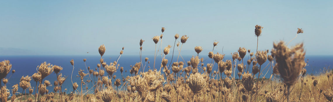 自动发货准时的在线ddos网页端