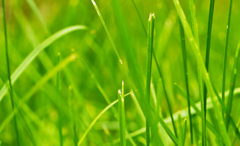 免费ddos在线攻击